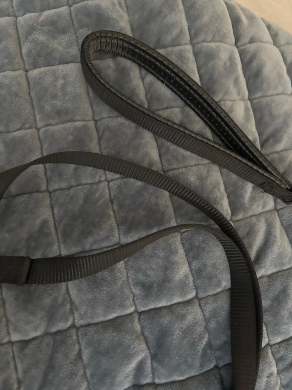 Two 2 in 1 dog leashes Black